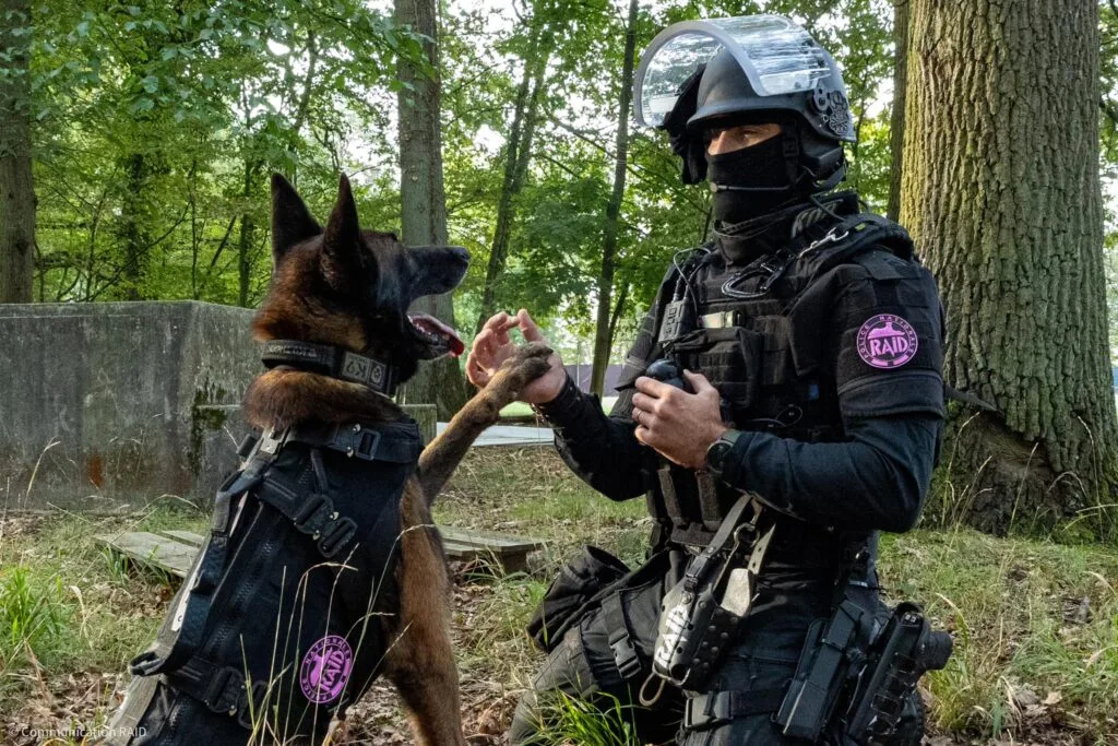 ecusson octobre rose RAID