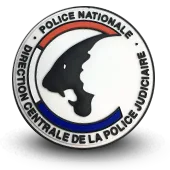 Ecusson Pvc Police Nationale Dcpj Direction Centrale De La Police Judiciaire