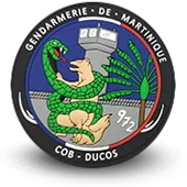 Ecusson Pvc Gendarmerie Nationale Cob Ducos