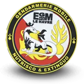 Ecusson Pvc Gendarmerie Nationale Egm Le Havre - 1315