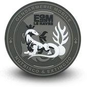 Ecusson Pvc Gendarmerie Nationale Egm Le Havre - 1314