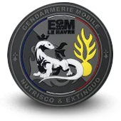 Ecusson Pvc Gendarmerie Nationale Egm Le Havre - 1313