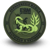 Ecusson Pvc Gendarmerie Nationale Egm Le Havre - 1312