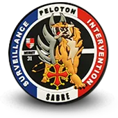Ecusson Pvc Gendarmerie Nationale Psig Sabre