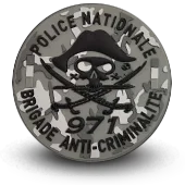Ecusson Brodé Police Bac Brigade Anti Criminalite Bac971