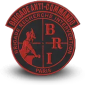 Ecusson Brodé Bri Paris - Brigade Anti-Gang Police Nationale - 1417