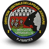 Ecusson Brodé Police Nationale Dcpj Brigade Criminelle Nantes