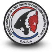 Ecusson Brodé Police Nationale Dcpj Bnlcoc