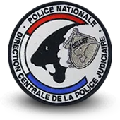 Ecusson Brodé Police Nationale Dcpj Oclciff