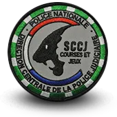 Ecusson Brodé Police Nationale Dcpj Sccj Courses Et Jeux