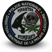 Ecusson Brodé Police Nationale Dcpj Stups Nantes