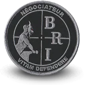 Ecusson Brodé Bri Paris - Brigade Anti-Gang Police Nationale - 1424