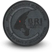 Ecusson Brodé Bri Police Brigade Recherche Intervention Orleans