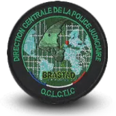 Ecusson Brodé Police Nationale Dcpj Oclctic