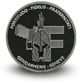 Ecusson Brodé Gendarmerie Geneve Suisse