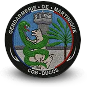 Ecusson Brodé Gendarmerie Nationale Cob Ducos