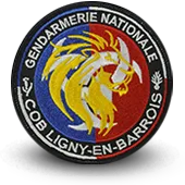 Ecusson Brodé Gendarmerie Nationale Cob Ligny