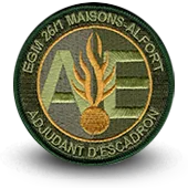 Ecusson Brodé Gendarmerie Nationale Egm Maisons-Alfort