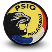 Ecusson Brodé Gendarmerie Nationale Psig Palaiseau - 1324
