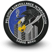 Ecusson Brodé Gendarmerie Nationale Psig Sabre Meru