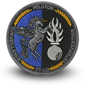 Ecusson Brodé Gendarmerie Nationale Psig St-Lo