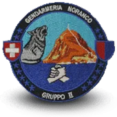 Ecusson Brodé Gendarmerie Suisse