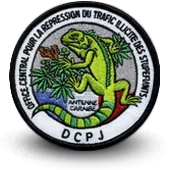 Ecusson Brodé Police Nationale Dcpj Ocrtis Caraibes
