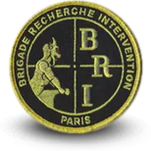 Ecusson Brodé Bri Paris - Brigade Anti-Gang Police Nationale