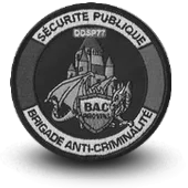 Ecusson Brodé Police Bac Brigade Anti Criminalite Provins - 1507