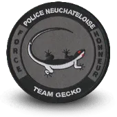 Ecusson Brodé Police Neuchateloise Gecko Suisse
