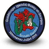 Ecusson Scout et guide