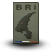 Ecusson Pvc Bri Police Brigade Recherche Intervention