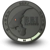 Ecusson Pvc Bri Police Brigade Recherche Intervention Bayonne - 1437