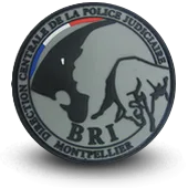 Ecusson Pvc Bri Police Brigade Recherche Intervention Montpellier