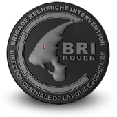 Ecusson Pvc Bri Police Brigade Recherche Intervention Rouen - 1439