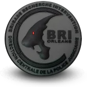 Ecusson Pvc Bri Police Brigade Recherche Intervention Orleans