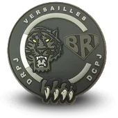 Ecusson Pvc Bri Police Brigade Recherche Intervention Versailles