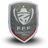 Ecusson Fff Fédération Francaise De Football Vainqueur Coupe De France - 351