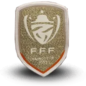 Ecusson Fff Fédération Francaise De Football Vainqueur Coupe De France