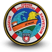 Ecusson Snsm Lyon