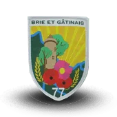 Ecusson Scout Nature